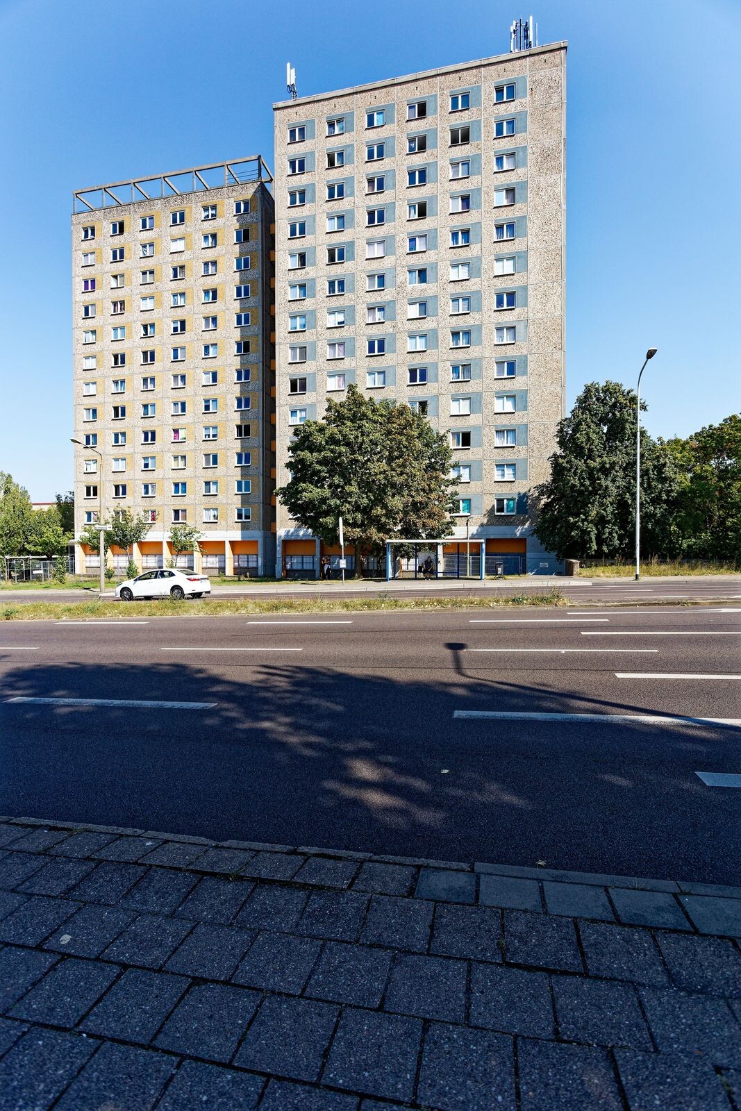 IMG_5856_sil.jpg